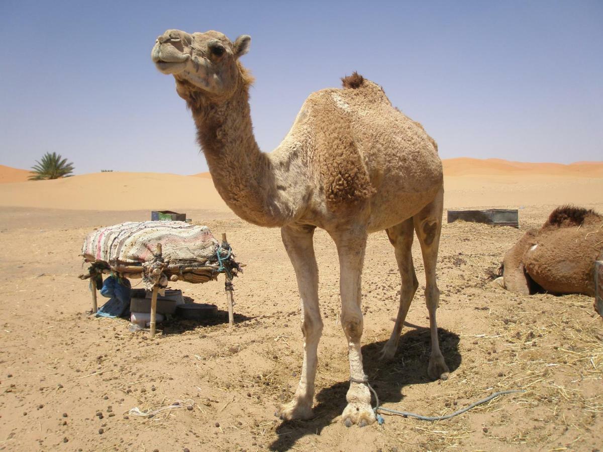 Gite Tamlli Aoufous Luaran gambar