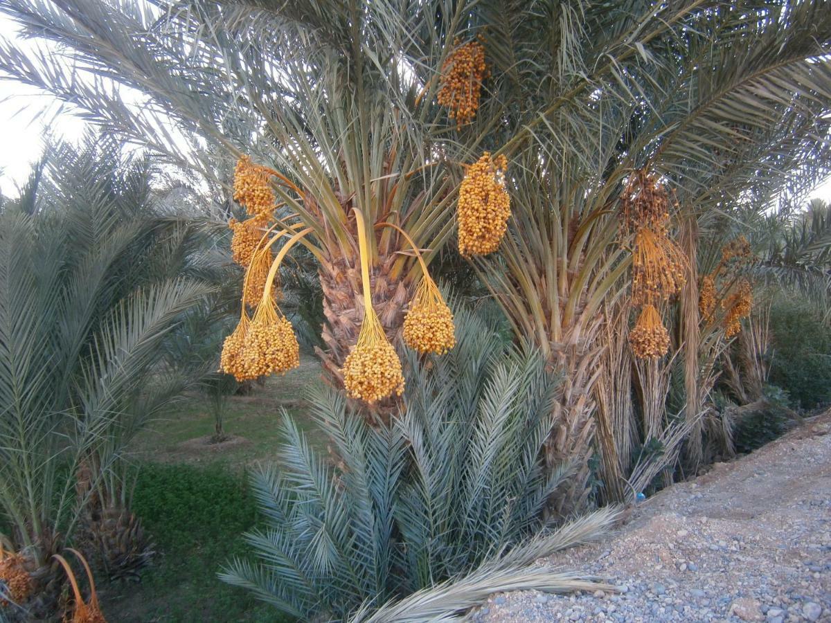 Gite Tamlli Aoufous Luaran gambar