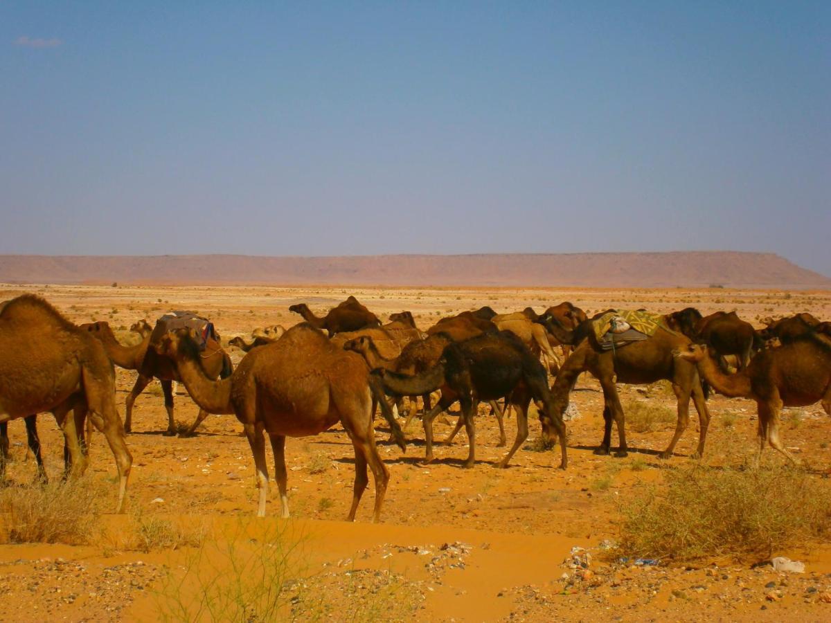 Gite Tamlli Aoufous Luaran gambar